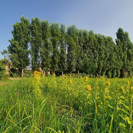 Fattoria Il Giardo Lejlighed Pietrasanta Eksteriør billede