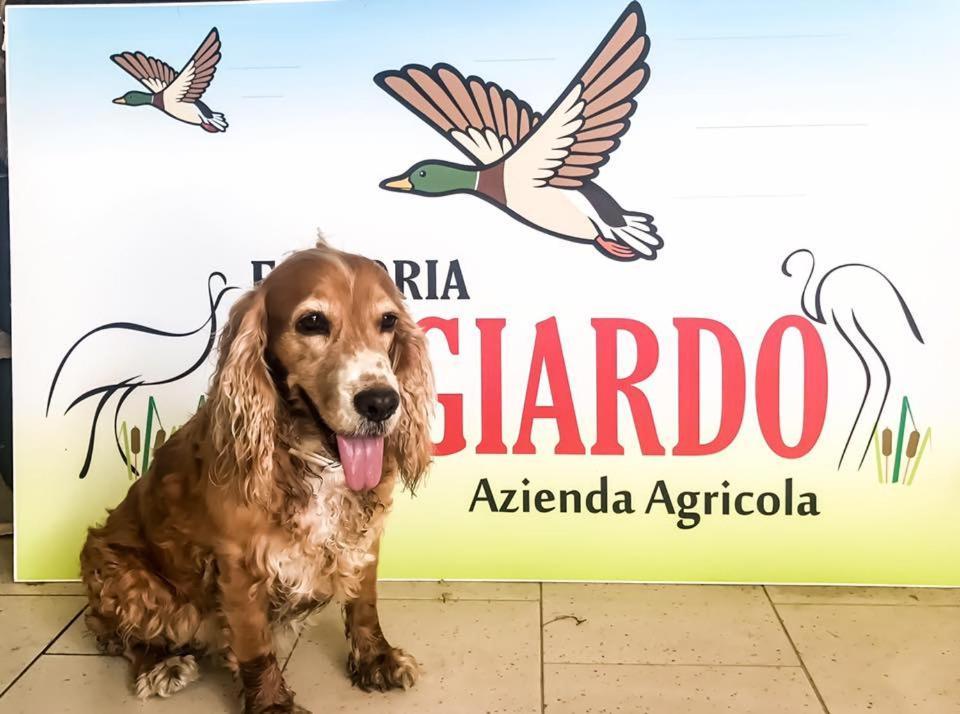 Fattoria Il Giardo Lejlighed Pietrasanta Eksteriør billede