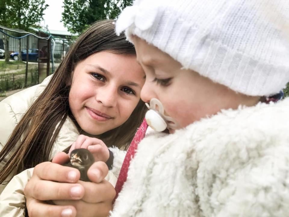 Fattoria Il Giardo Lejlighed Pietrasanta Eksteriør billede