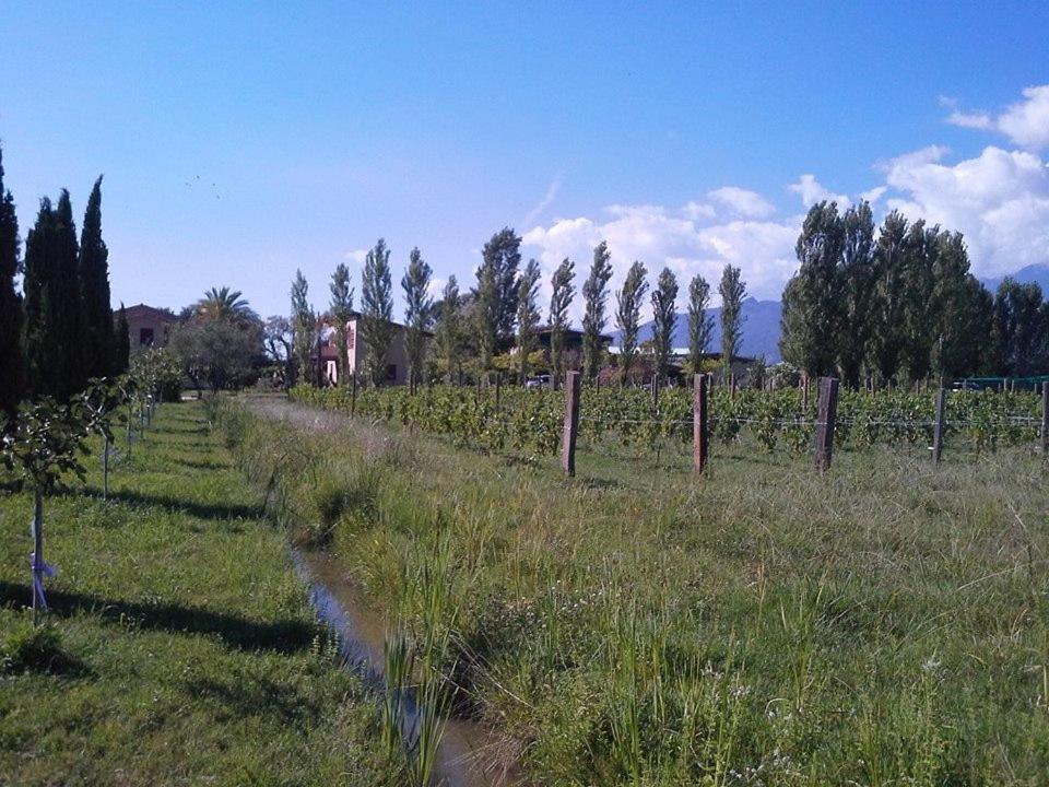 Fattoria Il Giardo Lejlighed Pietrasanta Eksteriør billede