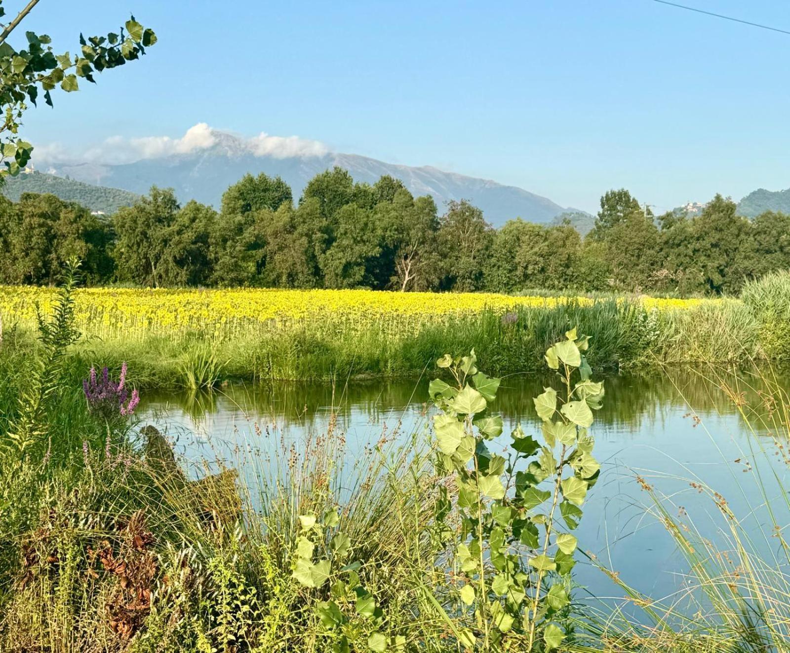 Fattoria Il Giardo Lejlighed Pietrasanta Eksteriør billede