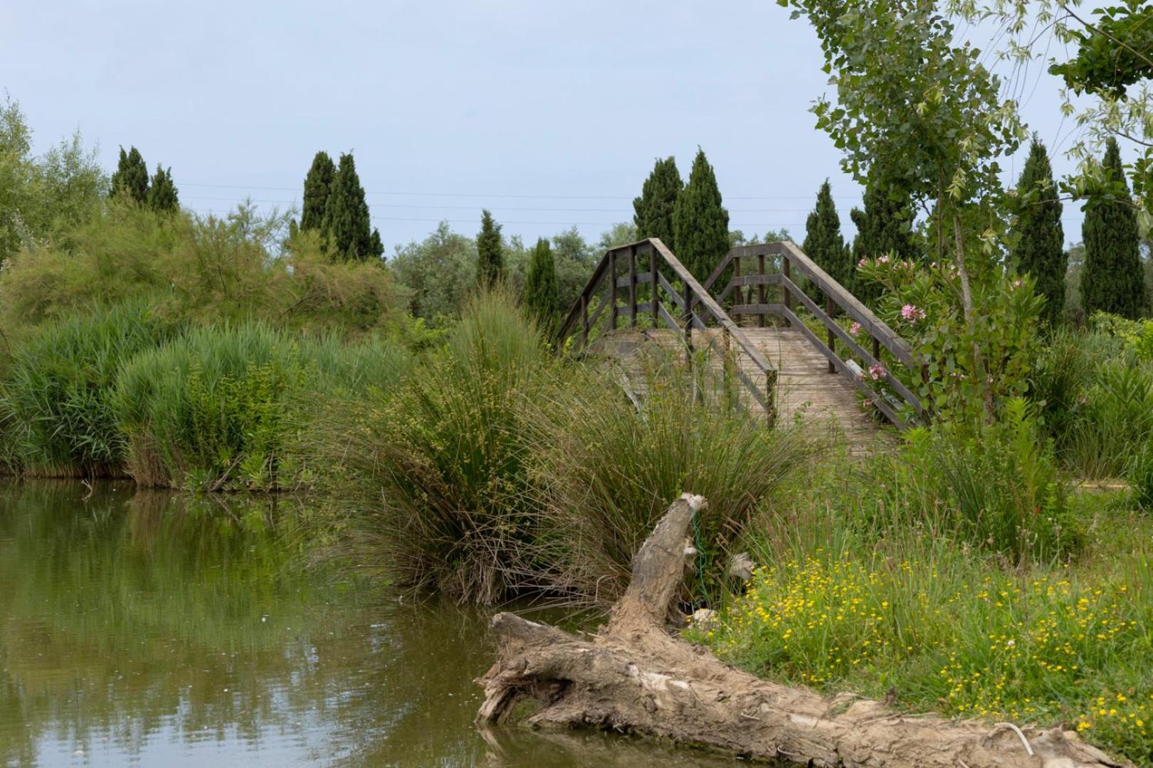 Fattoria Il Giardo Lejlighed Pietrasanta Eksteriør billede